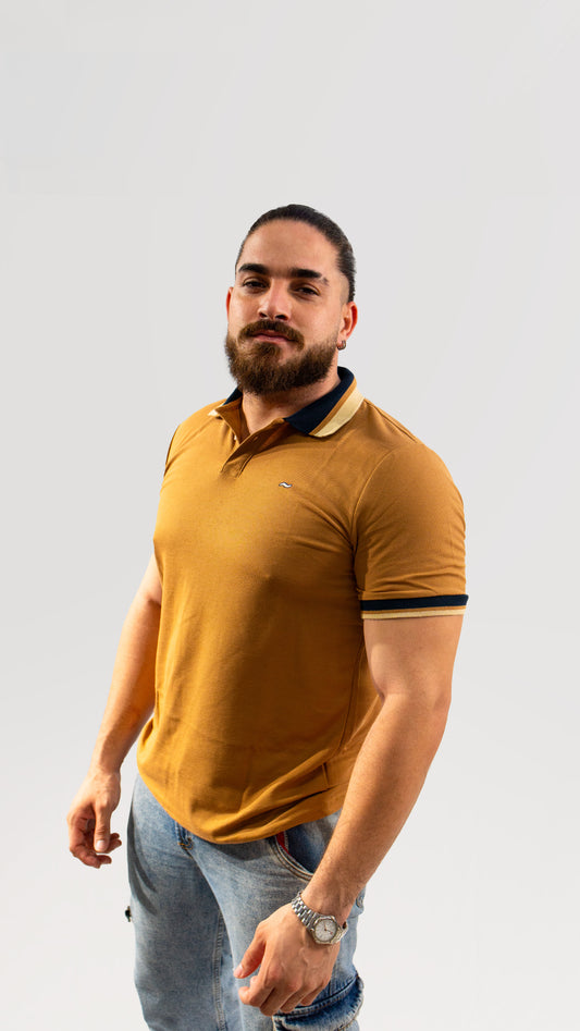 SUETER TIPO POLO MARRON