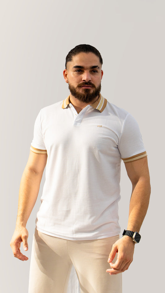 CAMISETA TIPO POLO CUELLO MARRON
